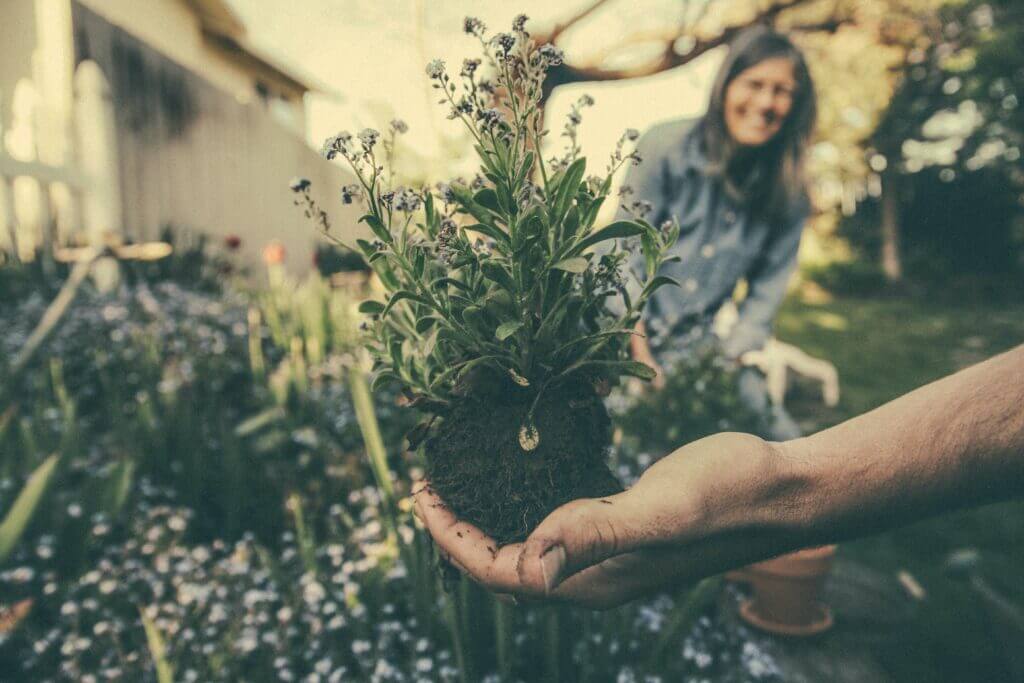 Gardening for older people has multiple benefits, both physically and mentally.